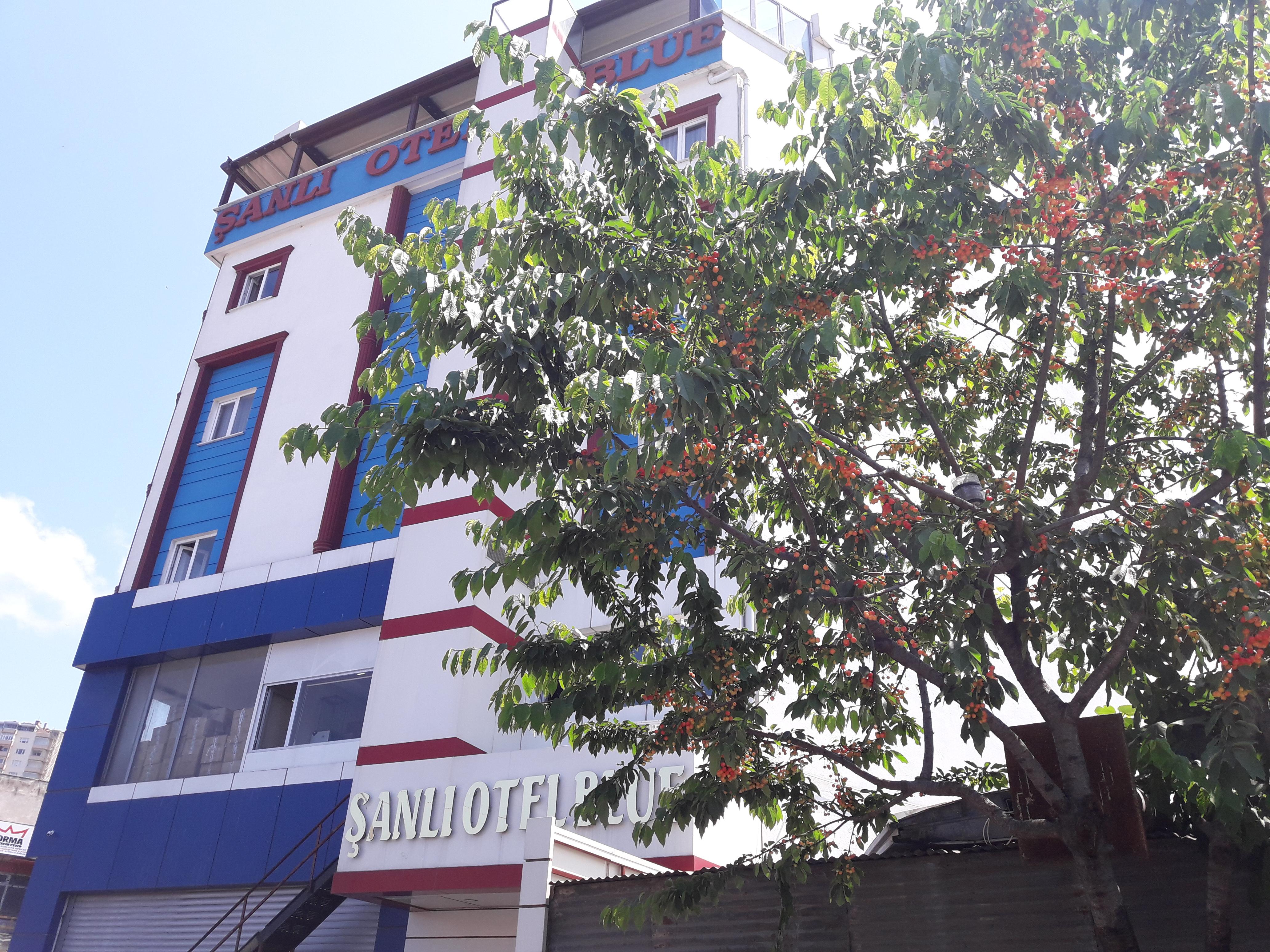 Sanli Hotel Blue Trabzon Exterior foto